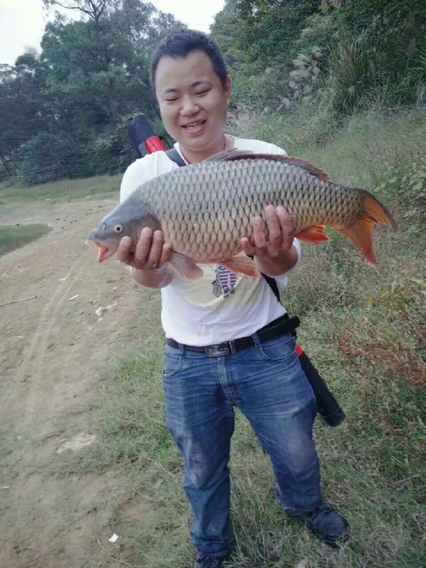 迷路的男人的第一张照片--湖南中老年相亲网